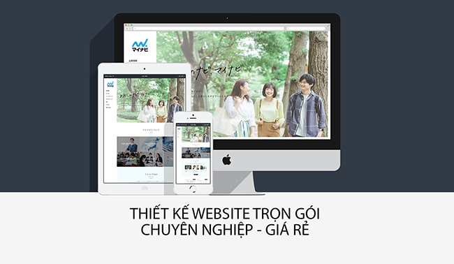 Thiết kế website giá rẻ tại Bình Dương